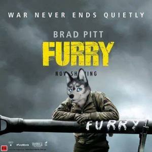 10406644_1554262271455459_1345800192801782523_n