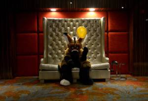 11159456_1441273146166758_4231873156634175823_n