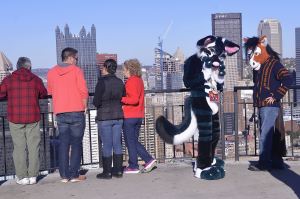 20141026lroverlookfurrystandalone03