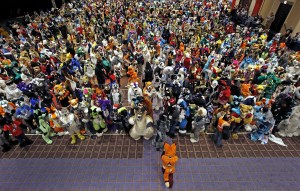 furfest