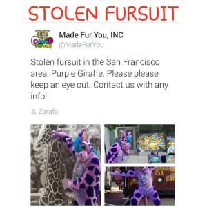 12651366_1553220814995148_1820343223877809372_n