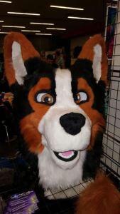 15977120_1071880226272789_2779838352221640886_n