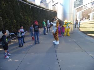 16831142_332783377116072_1779951895775793194_n